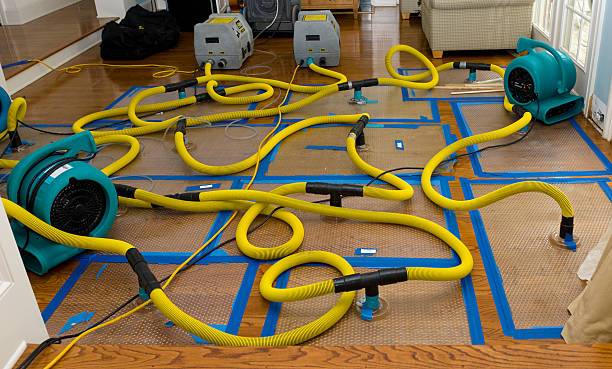 Professional Basement Flood Cleanup technician working in Bristol, TN